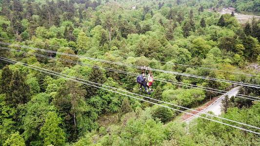 種植新的森林可以扭轉全球變暖或加速它
