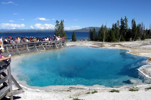 一種入侵物種為黃石湖造成災難