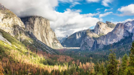 Jaque Studio為圖盧姆的叢林凱瓦酒店創(chuàng  )建了小村莊的客人小屋