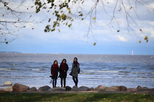 Teresa Sarmiento和Nicolas Tovo在布宜諾斯艾利斯建造了充滿(mǎn)光線(xiàn)的狹窄房屋