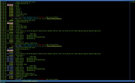 這個(gè)名為Backoff的程序感染了收銀員用來(lái)處理付款的銷(xiāo)售點(diǎn)計算機終端