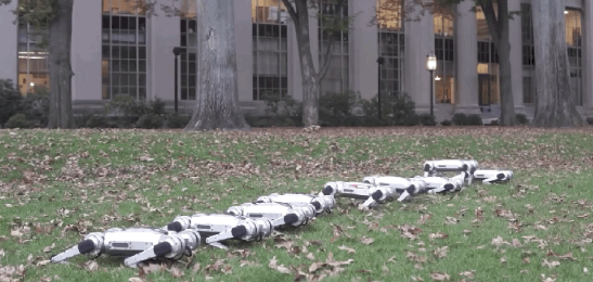 麻省理工學(xué)院的Mini Cheetah機器人像人類(lèi)一樣活動(dòng)