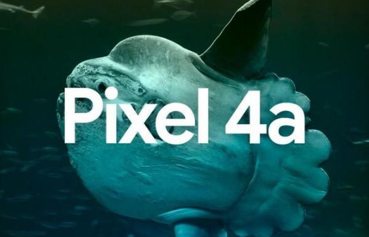 Pixel 4a與iPhone 9：谷歌和蘋(píng)果即將推出的廉價(jià)手機比較