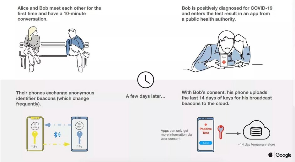 蘋(píng)果和谷歌的聯(lián)系追蹤計劃的成功將取決于一件事