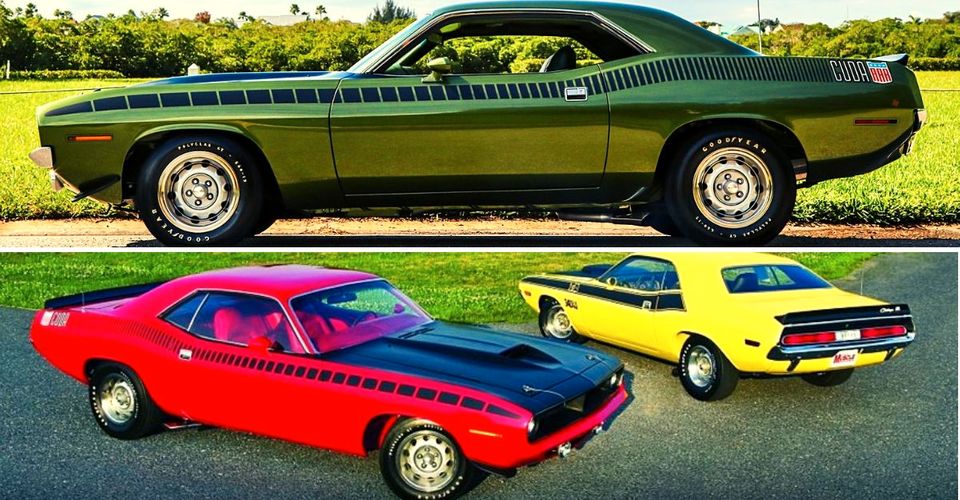 道奇梭子魚(yú)背后的隱藏真相