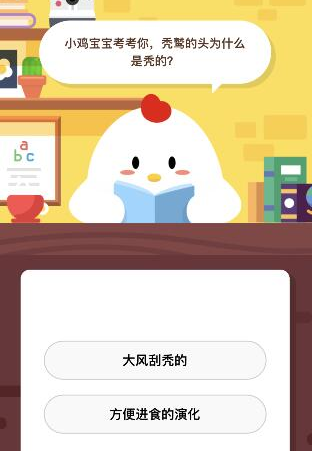 支付寶螞蟻莊園小雞每日問(wèn)答:禿鷲頭為什么是禿的