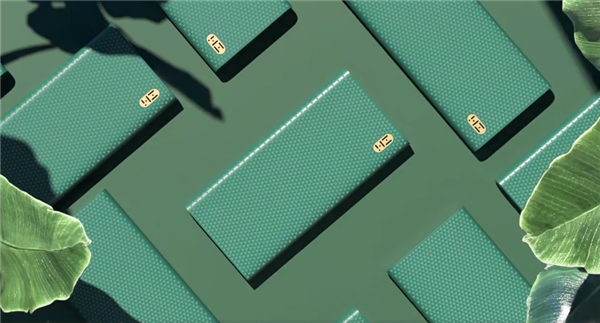 ZMI 10000mAh無(wú)線(xiàn)移動(dòng)電源具有綠色