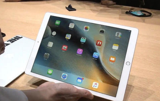 iPad不能下載應用怎么辦,小編教你一招搞定