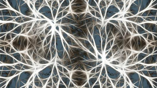 1800萬(wàn)美元，由11個(gè)機構共同努力，旨在讓AI揭露阿爾茨海默氏癥