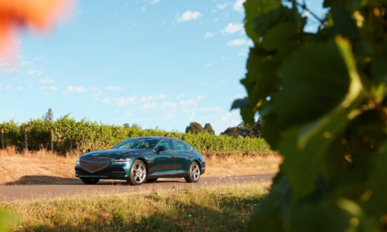 經(jīng)過(guò)重新設計的Genesis G80具有新平臺，新動(dòng)力總成和非常誘人的設計