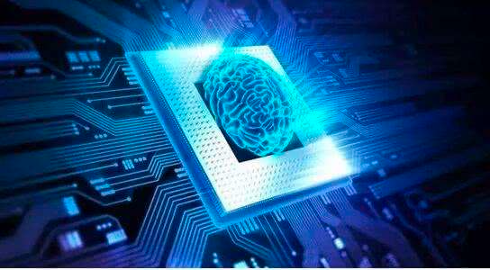 自然和人工智能網(wǎng)絡(luò )以相同方式處理視覺(jué)圖像的3D片段