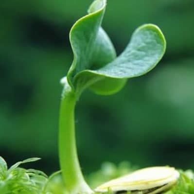2021年立春時(shí)間是幾點(diǎn)幾分幾秒？