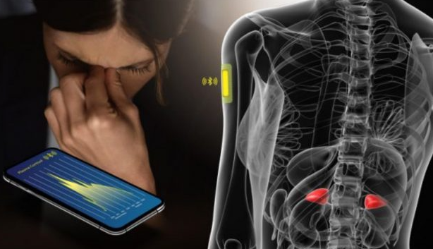 工程師開(kāi)發(fā)出通過(guò)汗液檢測壓力水平的芯片