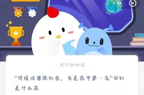 “何須淺碧深紅色，自是花中第一流”寫(xiě)的是什么花