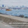 2021314文案 關(guān)于2021314文案大全