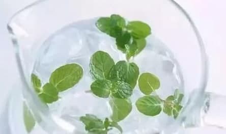 含薄荷成分的食品吃起來(lái)涼涼的，主要因為薄荷成分