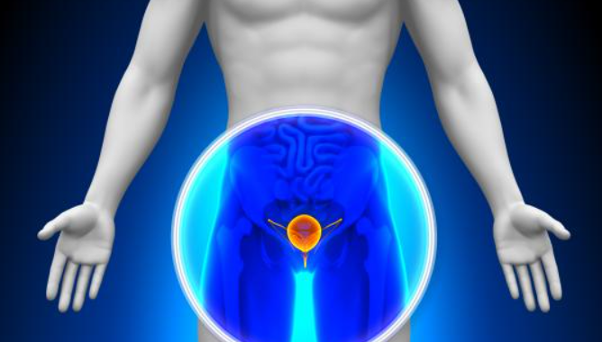 在活檢載玻片上診斷前列腺癌的AI系統