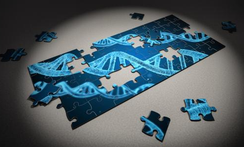 人工智能生物蓄勢待發(fā)