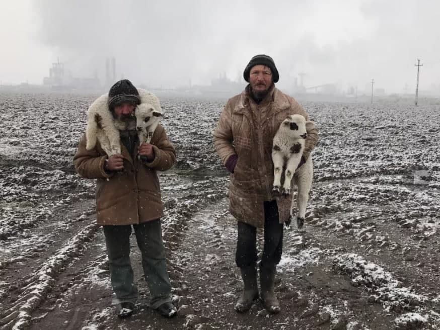 獲勝的是更便宜的 iPhone 11 和 iPhone XR 以及舊型號，而不僅僅是 iPhone 12