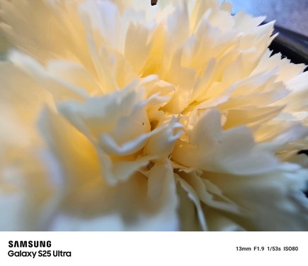 超廣角微距樣片